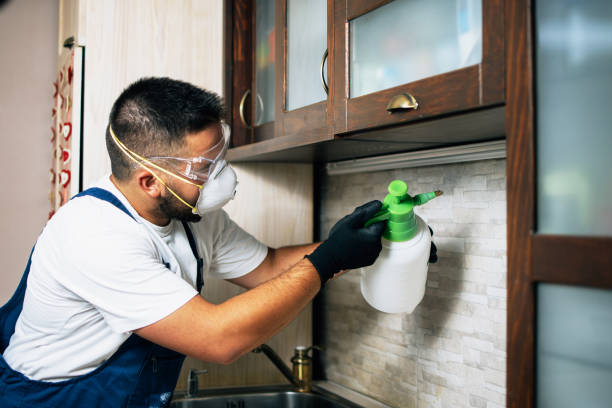 Best Cockroach Control Services  in Rolling Hills, CA