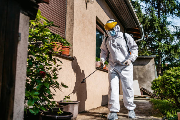 Best Cockroach Control Services  in Rolling Hills, CA