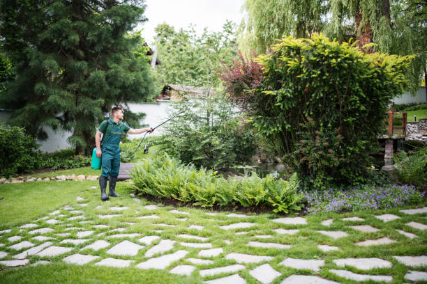 Best Local Pest Control Services  in Rolling Hills, CA