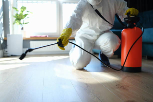 Trusted Rolling Hills, CA Pest Control Experts