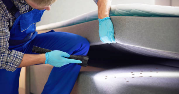 Best Pest Removal Services  in Rolling Hills, CA