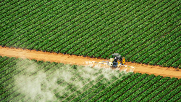 Best Mosquito Control Services  in Rolling Hills, CA
