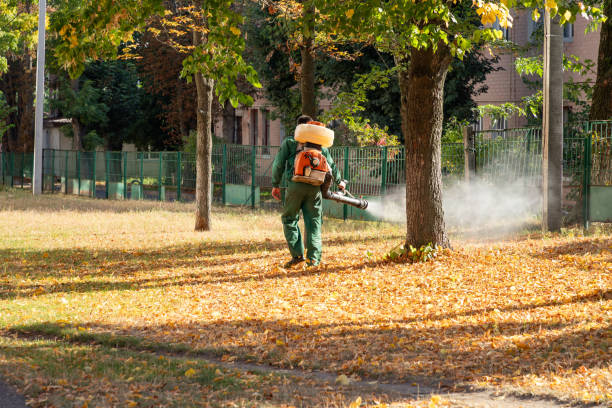 Best Best Pest Control Companies  in Rolling Hills, CA