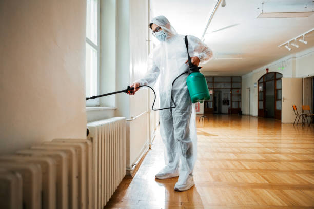 Best Termite Control Services  in Rolling Hills, CA